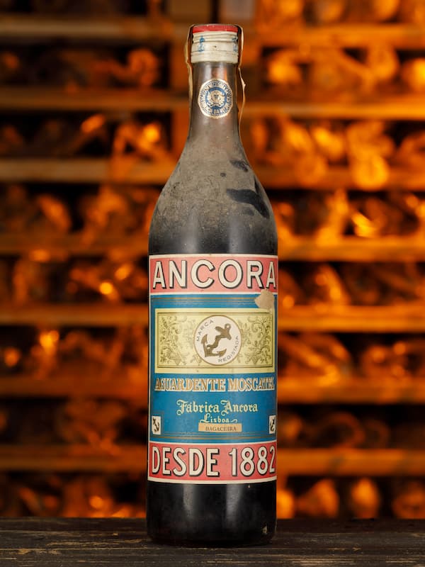 Aguardente Moscatel Ancora
